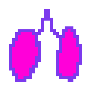 Lungs